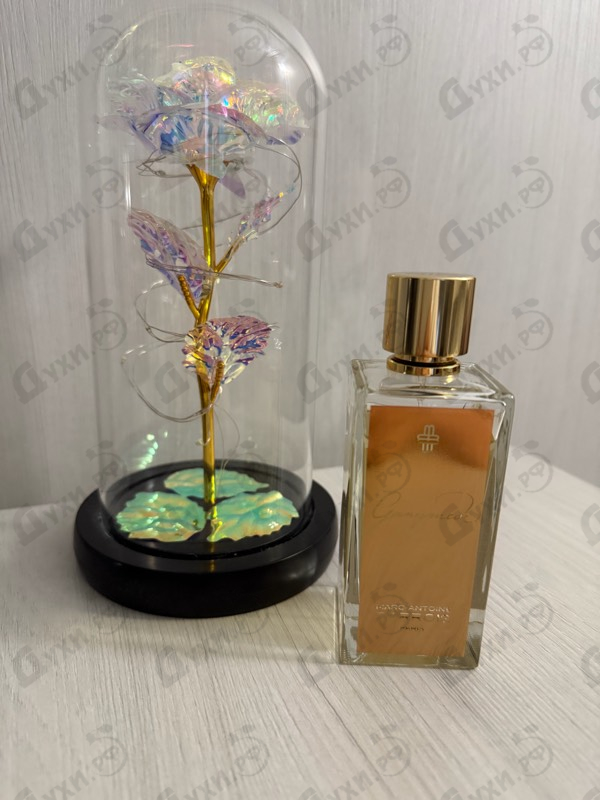 Отзыв Marc-Antoine Barrois Ganymede