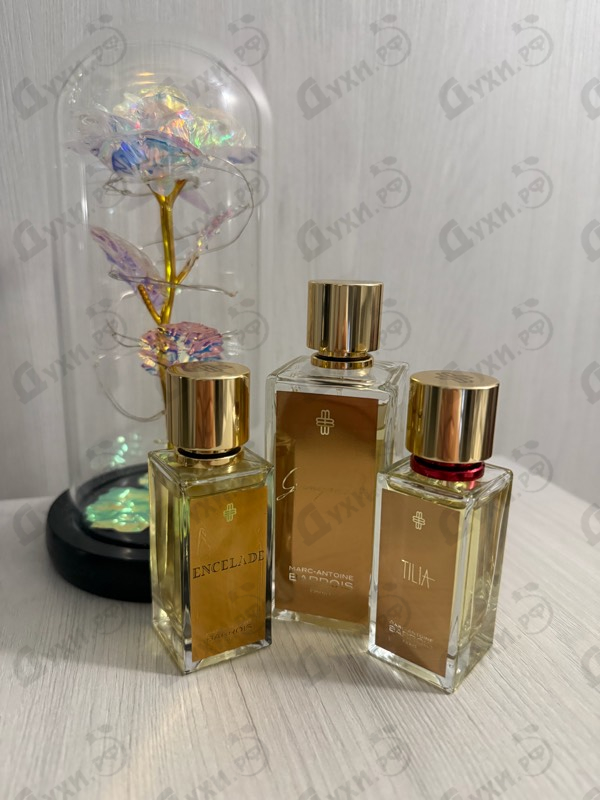 Купить Marc-Antoine Barrois Ganymede