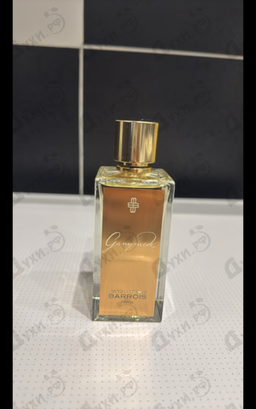 Купить Marc-Antoine Barrois Ganymede