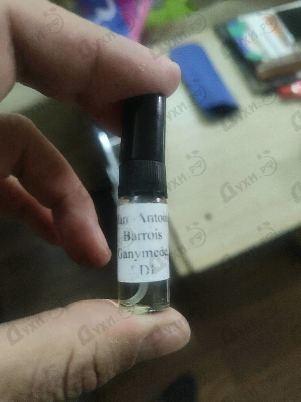 Купить Ganymede от Marc-Antoine Barrois