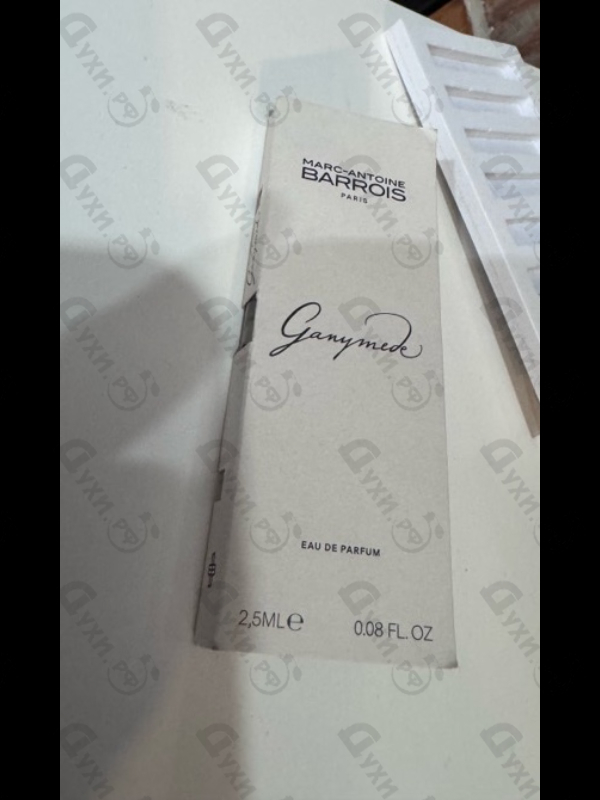 Купить Ganymede от Marc-Antoine Barrois