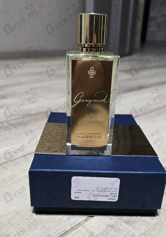 Купить Ganymede от Marc-Antoine Barrois