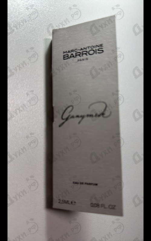 Купить Marc-Antoine Barrois Ganymede