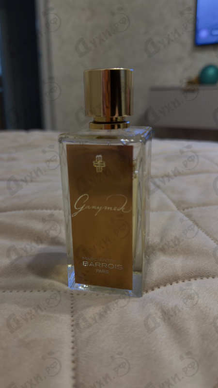 Купить Marc-Antoine Barrois Ganymede