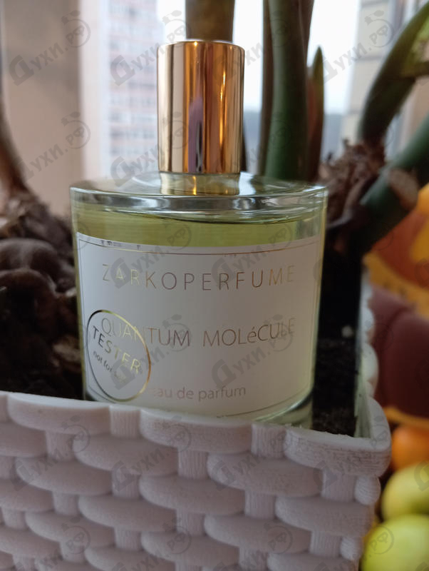 Купить Quantum Molecule от Zarkoperfume