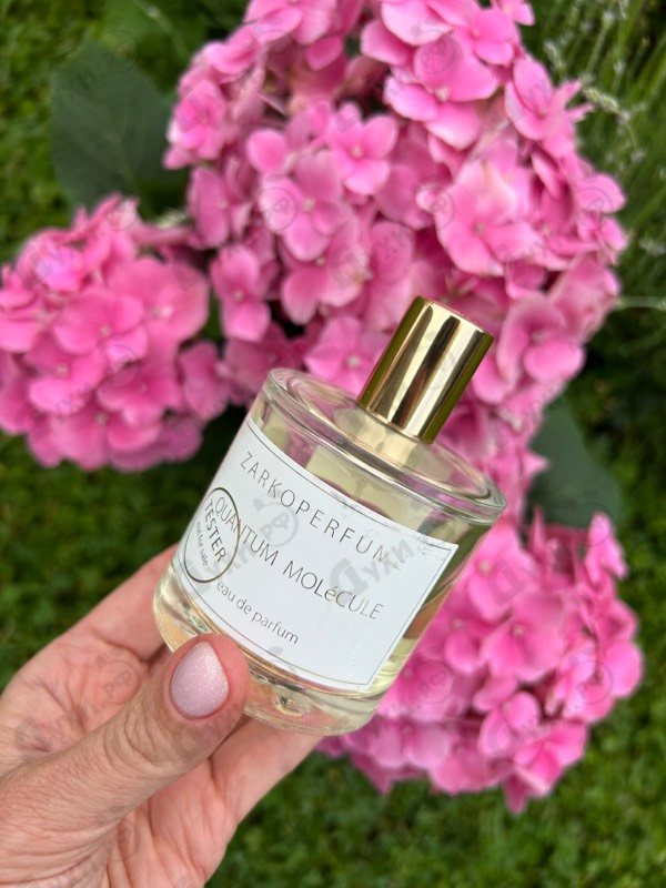Парфюмерия Quantum Molecule от Zarkoperfume