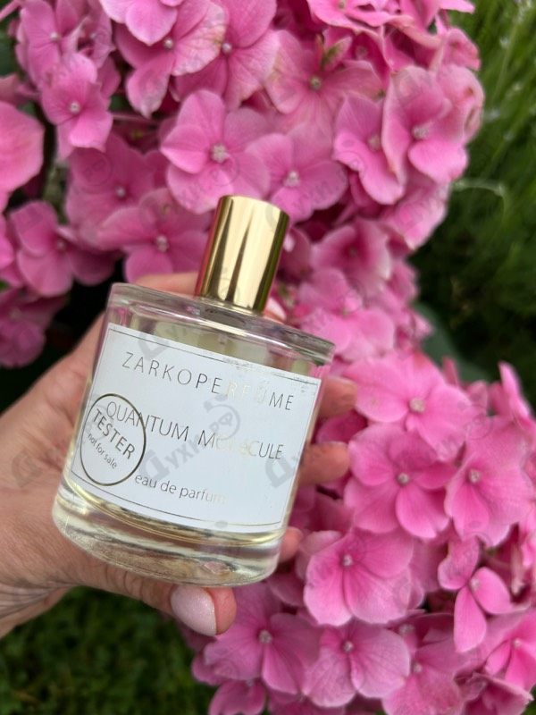 Парфюмерия Zarkoperfume Quantum Molecule