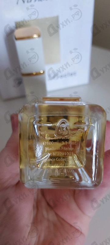 Купить Nirvana от Franck Boclet