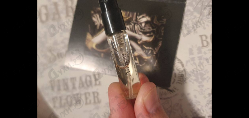 Купить Nirvana от Franck Boclet