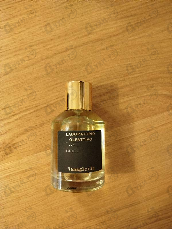Отзыв Laboratorio Olfattivo Vanagloria