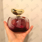 Парфюм Vince Camuto Illuminare Intensa