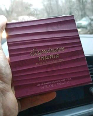 Купить Illuminare Intensa от Vince Camuto