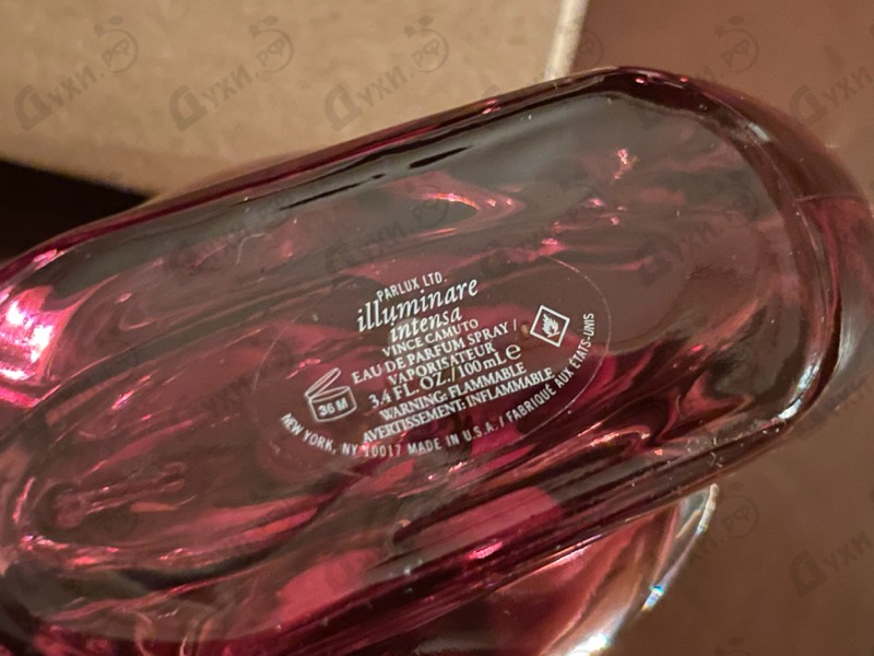 Купить Illuminare Intensa от Vince Camuto