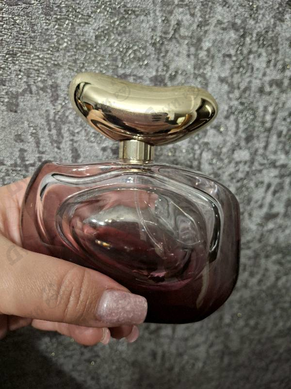 Купить Illuminare Intensa от Vince Camuto