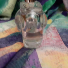 Отзывы Vince Camuto Illuminare
