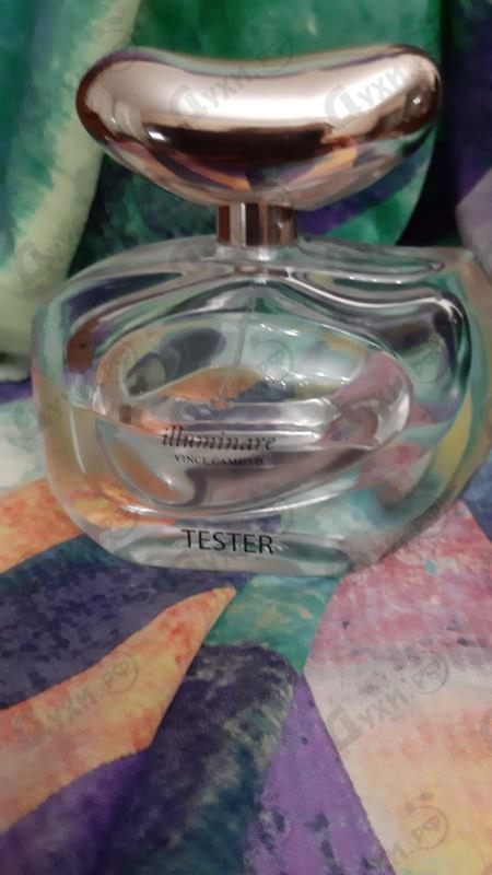 Купить Illuminare от Vince Camuto