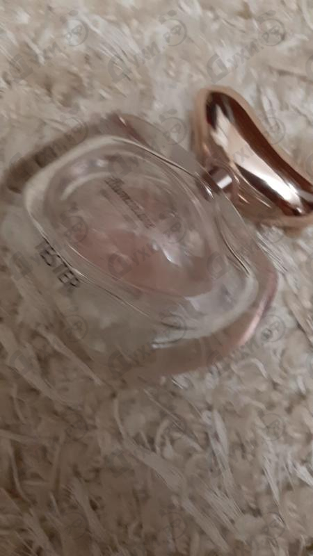 Купить Vince Camuto Illuminare