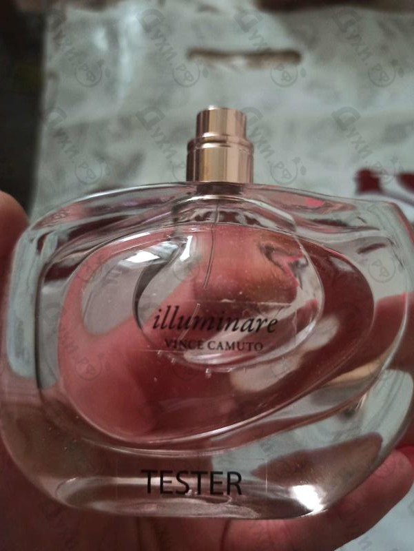 Отзыв Vince Camuto Illuminare