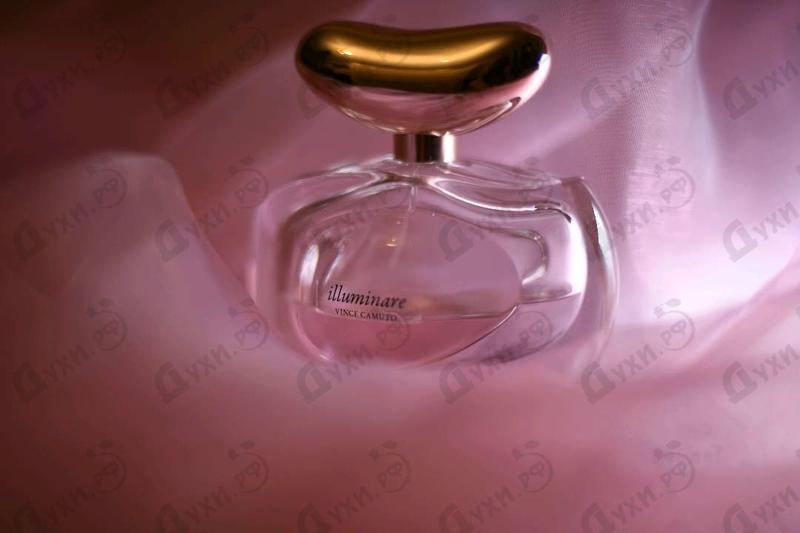 Отзывы Vince Camuto Illuminare