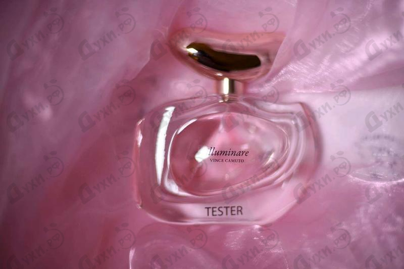 Купить Illuminare от Vince Camuto