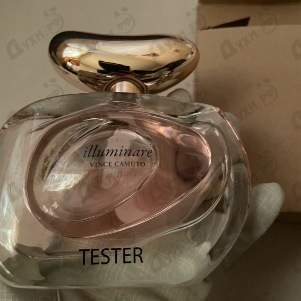 Купить Illuminare от Vince Camuto