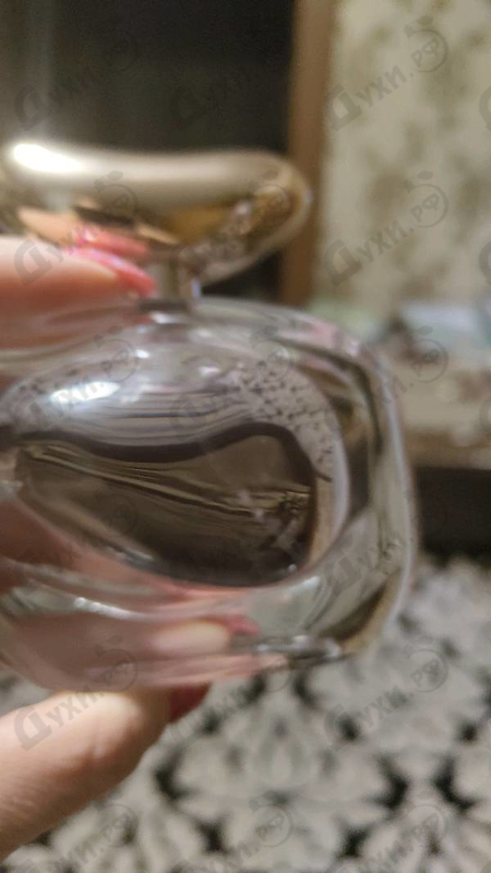 Отзывы Vince Camuto Illuminare