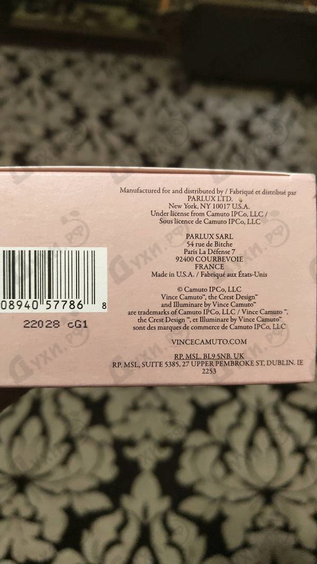 Купить Illuminare от Vince Camuto