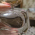 Отзывы Vince Camuto Illuminare