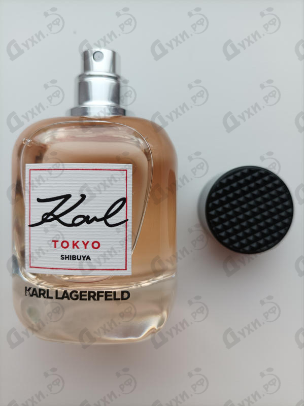 Купить Karl Tokyo Shibuya от Lagerfeld