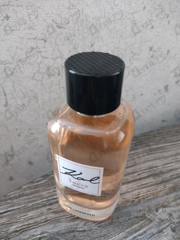 Парфюмерия Karl Tokyo Shibuya от Lagerfeld Купить Lagerfeld Karl Tokyo Shibuya