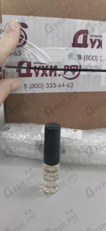 Купить Lagerfeld Karl Tokyo Shibuya