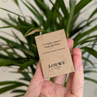 Отзывы Loewe Un Balcon Sobre El Paseo Del Prado