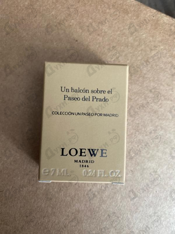 Отзывы Loewe Un Balcon Sobre El Paseo Del Prado