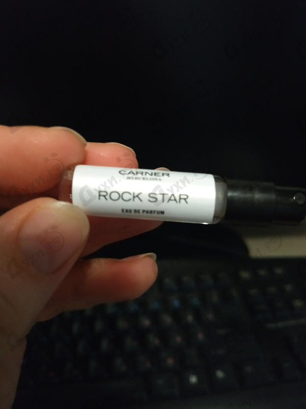 Купить Carner Barcelona Rock Star