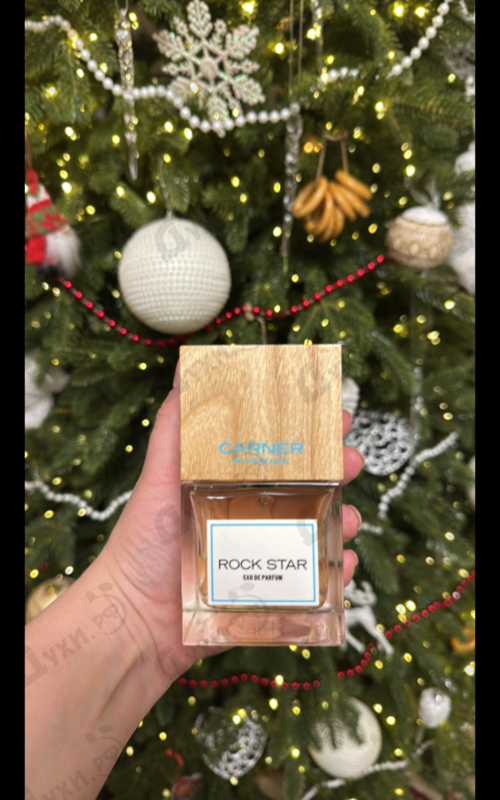 Купить Rock Star от Carner Barcelona