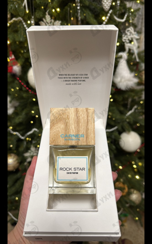 Купить Rock Star от Carner Barcelona