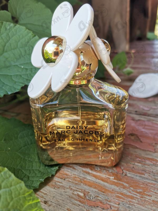 Отзывы Marc Jacobs Daisy Eau So Intense Духи Daisy Eau So Intense от Marc Jacobs