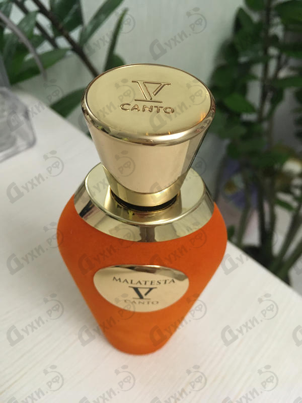 Парфюм V Canto Malatesta Парфюмерия Malatesta от V Canto
