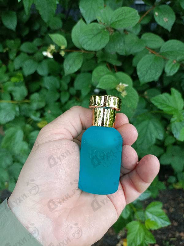 Духи Cannabis Salata от BOIS 1920