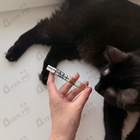 Отзывы Escentric Molecules Molecule 01 + Iris