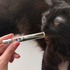 Купить Molecule 01 + Iris от Escentric Molecules