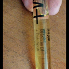 Парфюм Escentric Molecules Molecule 01 + Patchouli