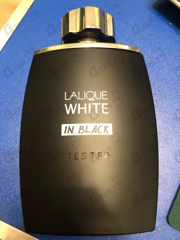 Купить Lalique Lalique White In Black