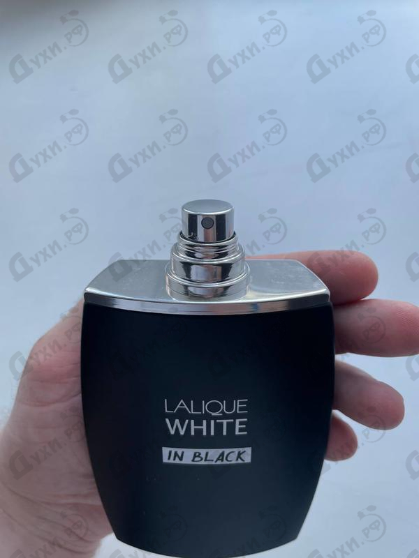 Парфюмерия Lalique Lalique White In Black