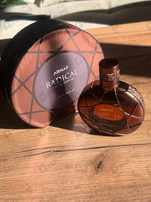 Отзыв Armaf Radical Brown