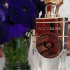 Отзывы Electimuss Trajan