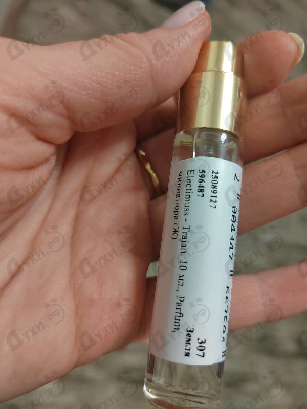 Купить Trajan от Electimuss