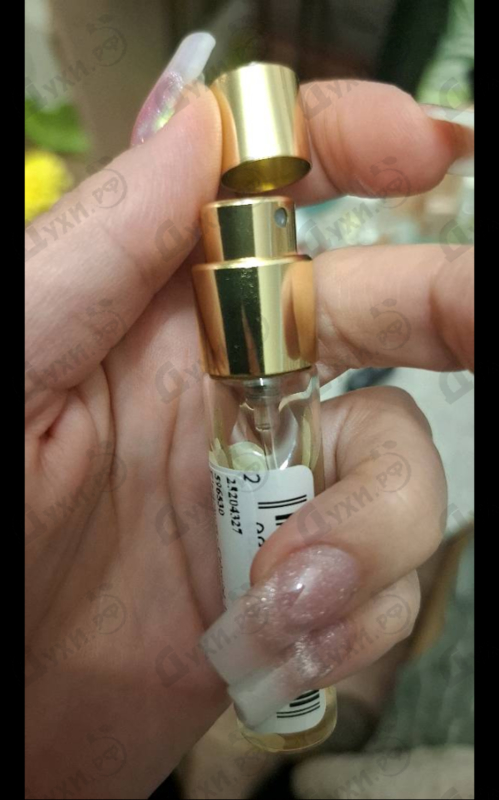 Купить Celestial от Electimuss