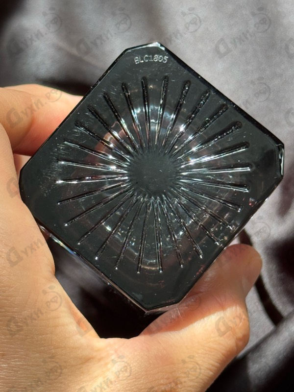 Купить Black Caviar от Electimuss