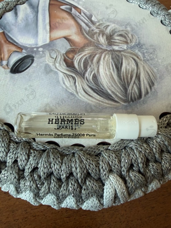 Купить Twilly D'Hermes Eau Ginger от Hermes